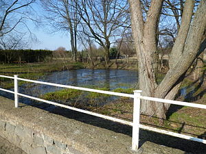 Calvörde-Mannhausen, village pond 2011.JPG