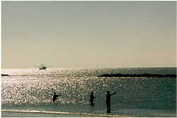 Shrimping and fishing in the Gulf Cameron4.jpg