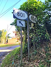 PR-801 east at PR-802 intersection in Palmarito, Corozal