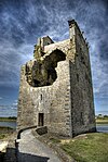 Carrigafoyle Castle Ireland.jpg