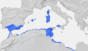 Algérie: Toponymie et étymologie, Géographie, Géologie, topographie, séismologie et hydrographie