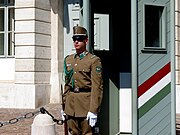 Ceremonial guard at Sándor palace, 2013 Budapest (172) (13229176254)