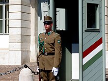 A guard at Sandor Palace in 2013 Ceremonial guard at Sandor palace, 2013 Budapest (172) (13229176254).jpg