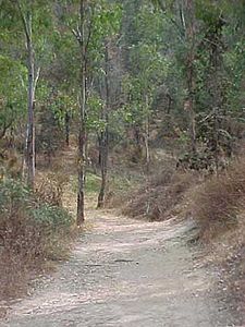 Cerro de la Estrella.jpg