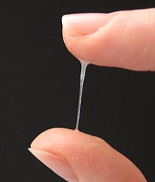 Cervical mucus1.jpg