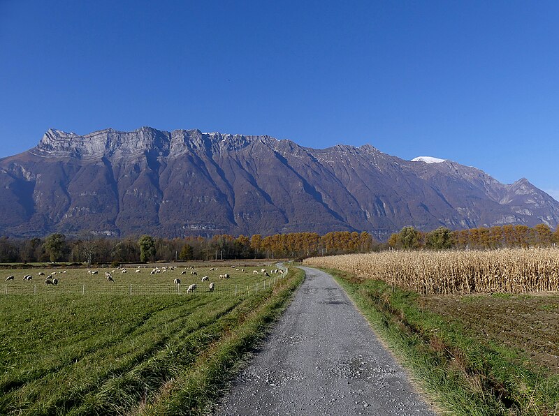 File:Chemin des Blaches et Arclusaz à Bourgneuf (automne 2021).JPG