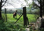 Vignette pour Sentier de grande randonnée 76