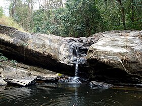 ചിമ്മിണി വന്യജീവി സംരക്ഷണകേന്ദ്രം