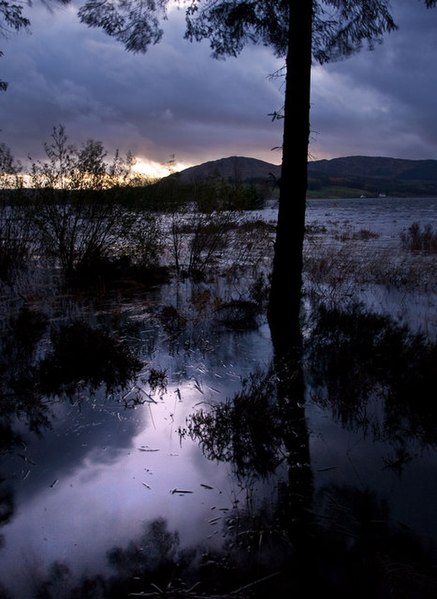 File:Clatteringshaws Loch - geograph.org.uk - 1023886.jpg