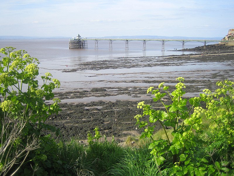 File:Clevedon Pier - geograph.org.uk - 2353437.jpg