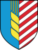 Wappen von Salihorsk