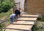 Vignette pour Caféiculture au Honduras