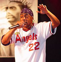 Coolio (pictured in 2002) had the second best selling single of this year with his signature song "Gangsta's Paradise", featuring guest vocals from L.V., which spent two weeks at number-one and lasted 12 weeks in the top 10 altogether. Coolio.jpg