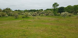 <span class="mw-page-title-main">Crossgates Quarry</span>