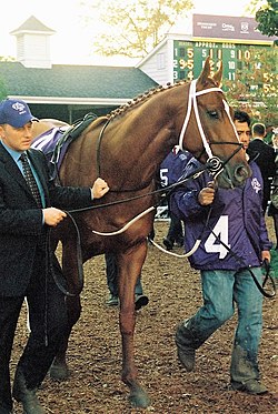 Curlin Breeders Cup 2007.jpg