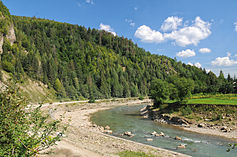 Річка Черемош в районі села Розтоки