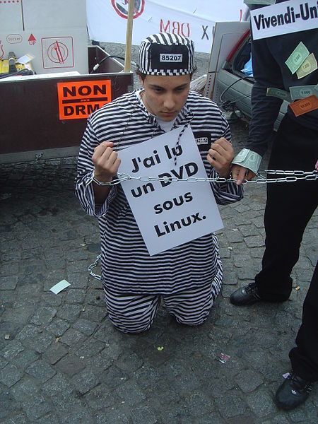 File:DADVSI protest 07812.jpg