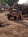 Donkeys_used_to_fetch_in_Northern_Ghana