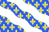 Yvelines' flag