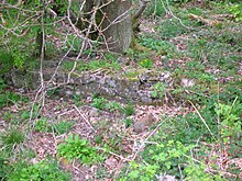 The old estate wall foundations at the Drukken Steps Drukken Steps wall.JPG