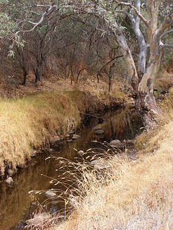 Dry Creek - Adélaïde.JPG