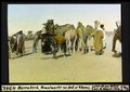 Photographie colorisée du marché aux dromadaires de Bab El Khemis (1929, Leo Wehrli)