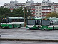 Scania buses