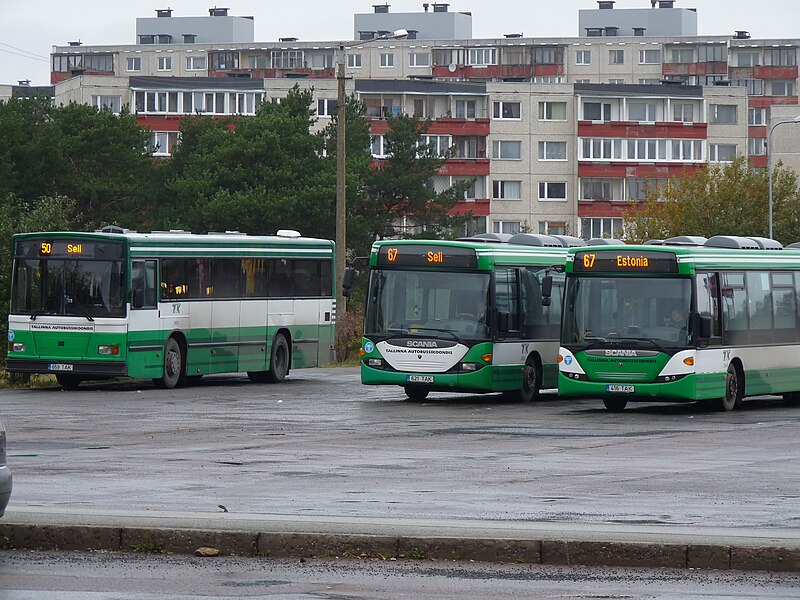 File:EU-EE-TLN-LAS-Seli-Buses in Ümera street.JPG