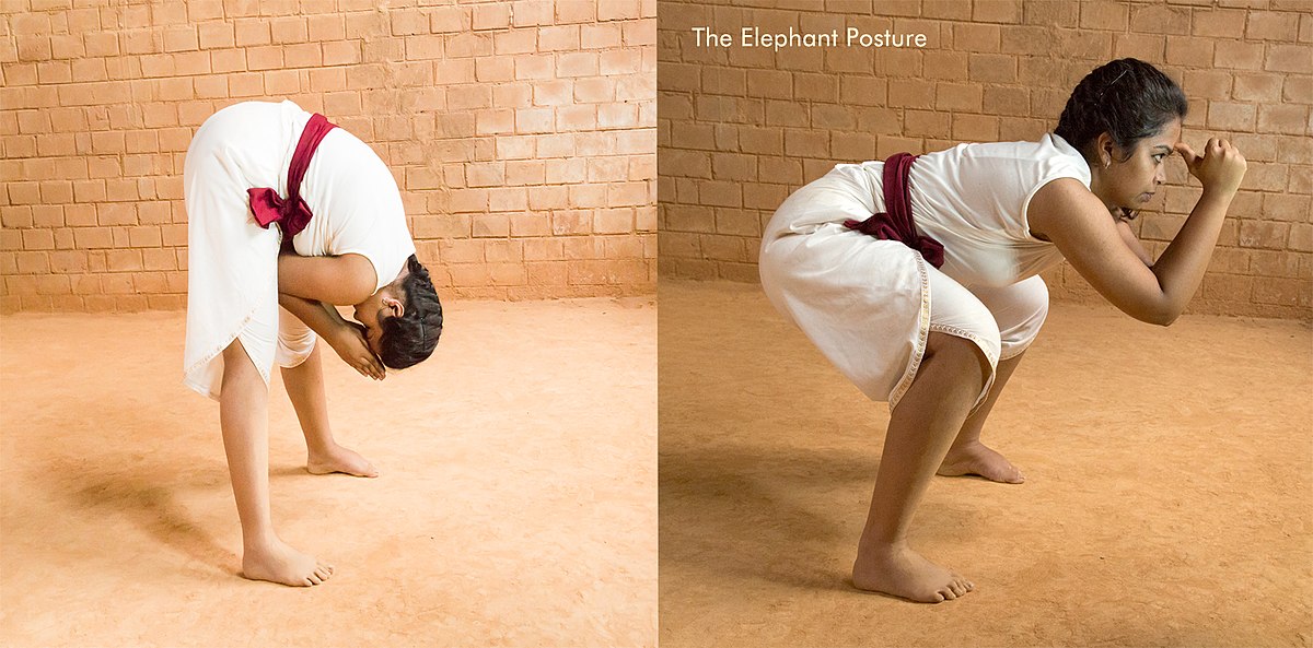 Eka Hasta Bhujasana (Elephant Trunk Pose) - YouTube