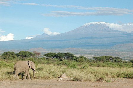 Kilimanjaro (vùng)