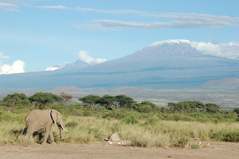 File:Elephant and Kilimanjaro.jpg