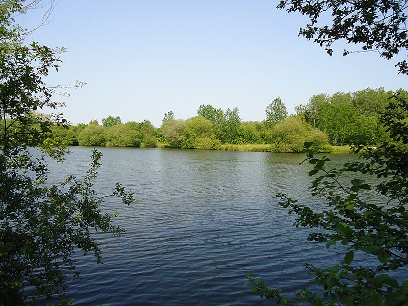 File:Etang guern.JPG