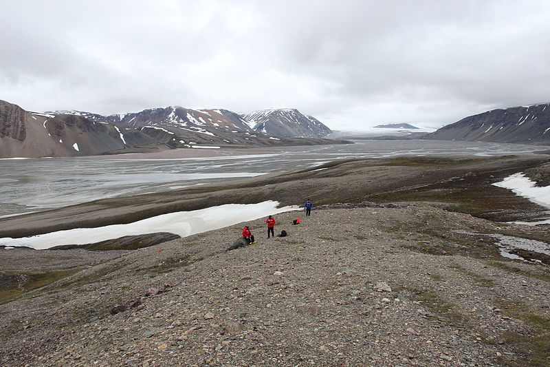 File:Faksevagen, Svalbard, Arctic (20098134739).jpg