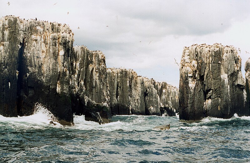 File:Farne Islands Coastline.JPG