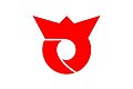 Flag of Sagae Yamagata.JPG