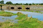 Floods near Moira (3) - geograph.org.uk - 954314.jpg