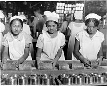 3 women working at a pineapple cannery in Hawaii. Their job is to pack the pineapples into cans.