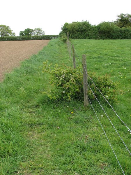 File:Footpath skirting stock fence - geograph.org.uk - 1294913.jpg