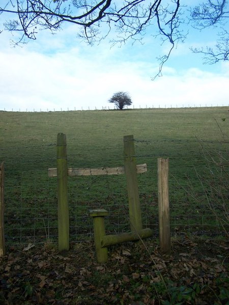 File:Footpath up the Hill - geograph.org.uk - 1074993.jpg