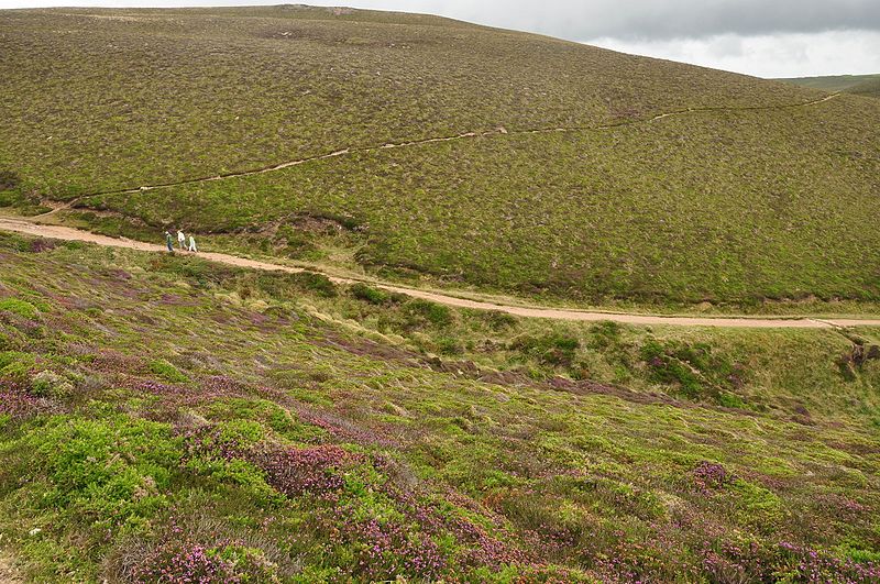 File:Footpaths in Chapel Combe (6333).jpg