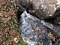 Fox Creek (west of Troutdale, Virginia, USA) 7 (30143958880).jpg