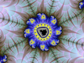 Fractal Suny flower like a spyder web