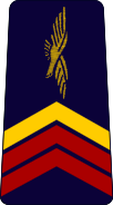 French Air Force-caporal-chef