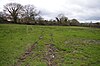 Frieth Meadows 1.JPG