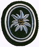 Insignia de la manga de la Brigada de Infantería de Montaña 22.jpg
