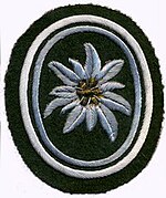 Ermetmerke fra Mountain Infantry Brigade 22.jpg