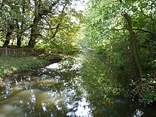 Fließt sanft das Yare (Geograph 2090923) .jpg