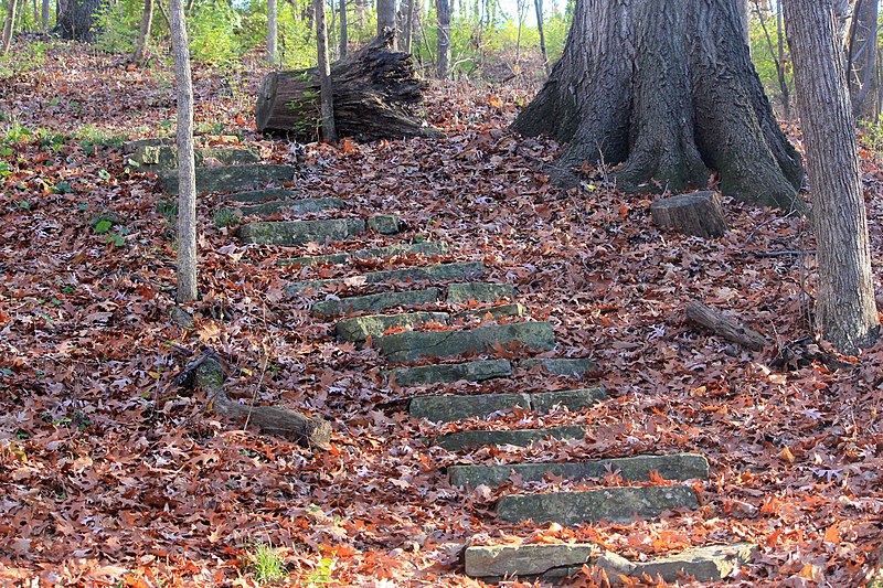 File:Gfp-iowa-bellevue-state-park-steps-on-the-hiking-trail.jpg