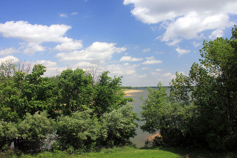 File:Gfp-ohio-alum-creek-state-park-lake-and-sky-through-trees.jpg