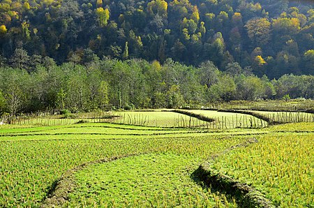 Gilan - Siyahkal - panoramio.jpg